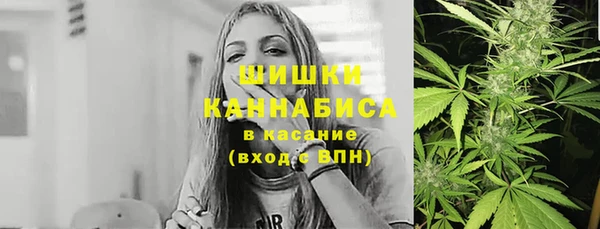 шишки Баксан