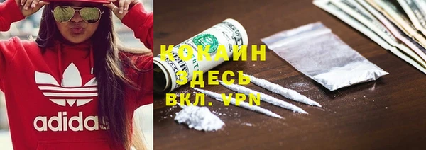 дживик Снежногорск