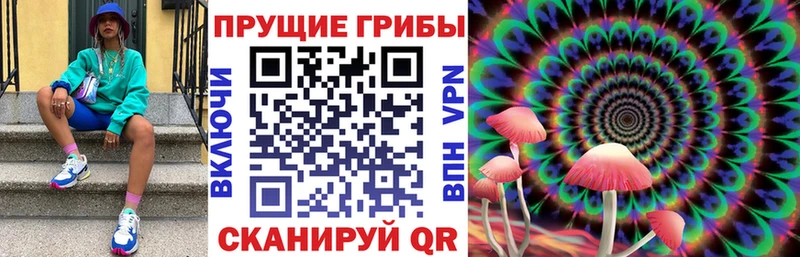 Галлюциногенные грибы прущие грибы  darknet Telegram  Краснокамск 